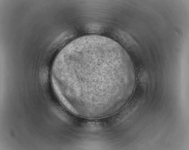 X0000114220744200911061506