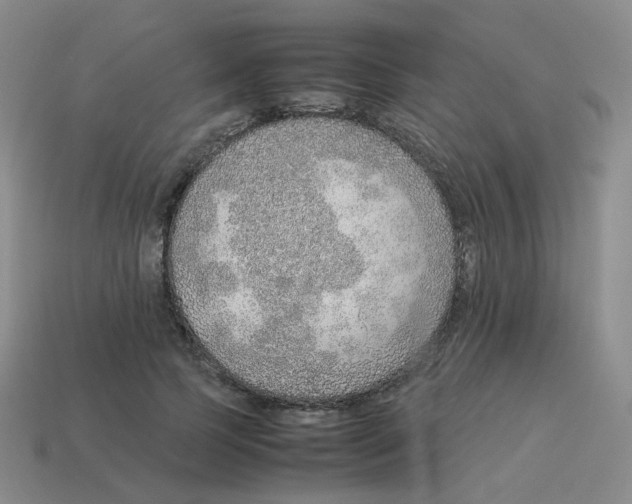 X0000114220745200911061506