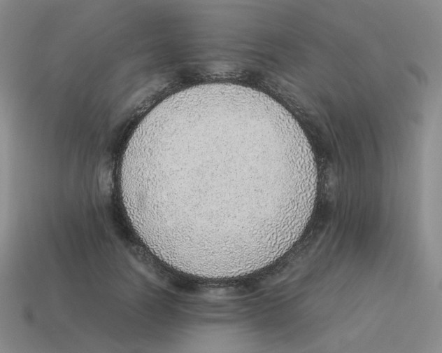 X0000114220746200911061506