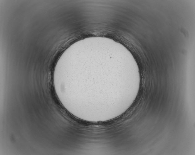 X0000114220748200911061506