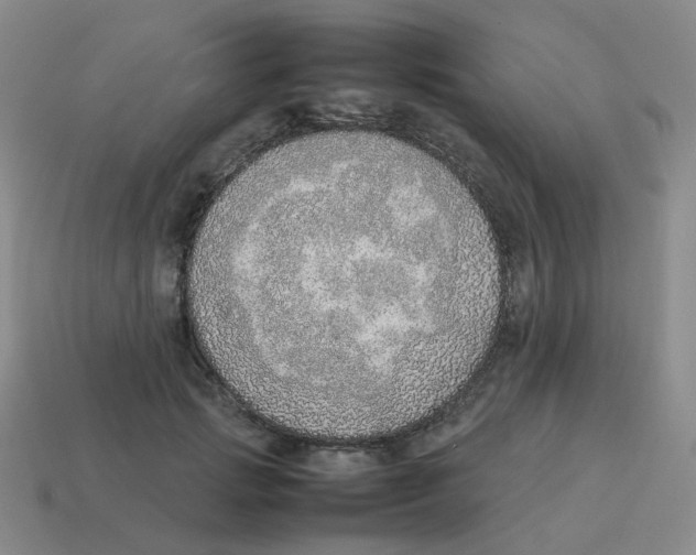 X0000114220749200911061506