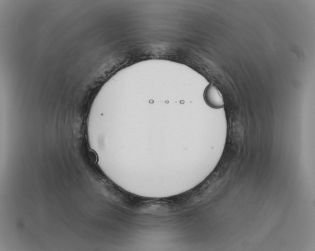 X0000114220750200911061506