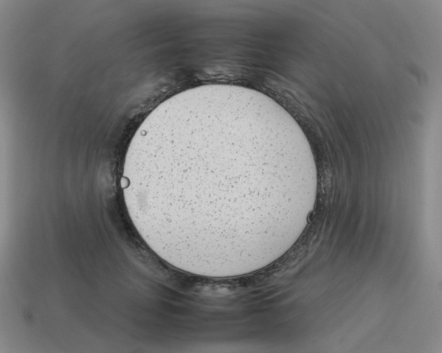 X0000114220751200911061506