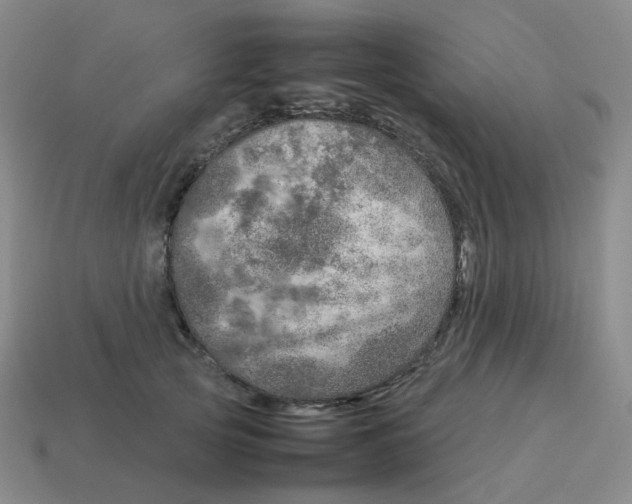 X0000114220753200911061506