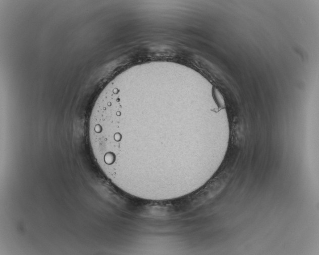 X0000114220756200911061506