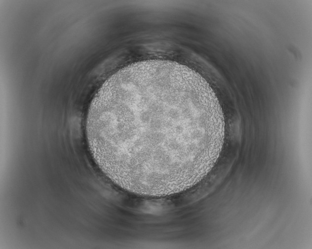 X0000114220757200911061506