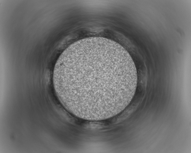 X0000114220758200911061506