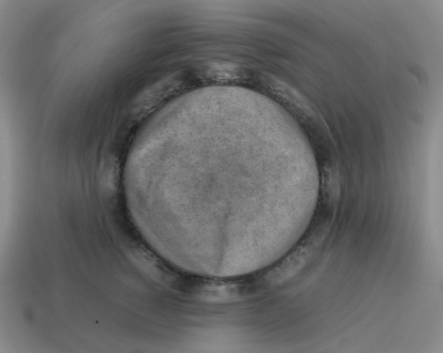 X0000114220760200911061506