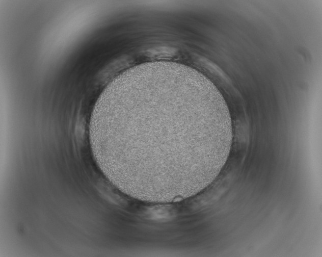 X0000114220761200911061506