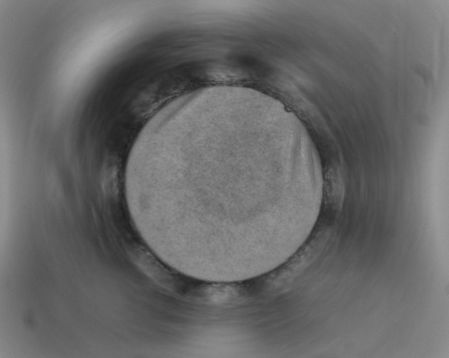 X0000114220762200911061506