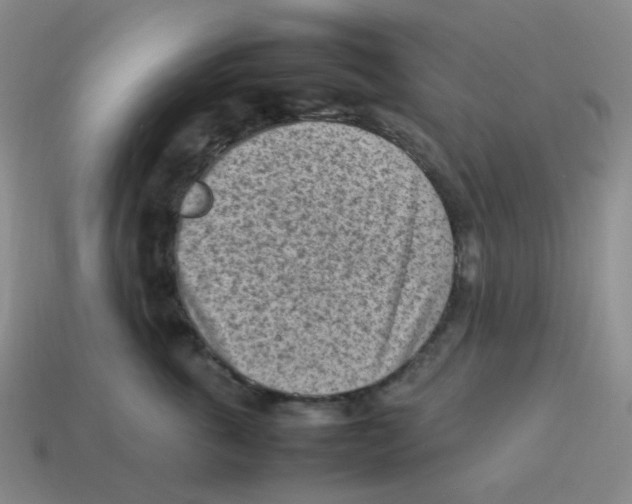 X0000114220763200911061506