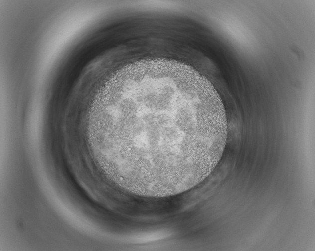 X0000114220765200911061506