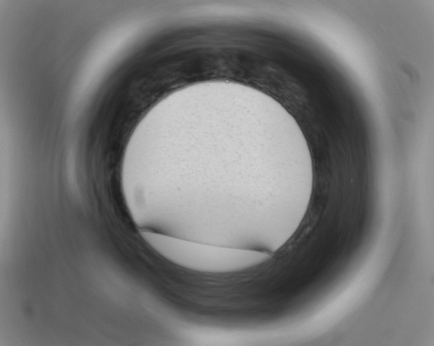 X0000114220766200911061506