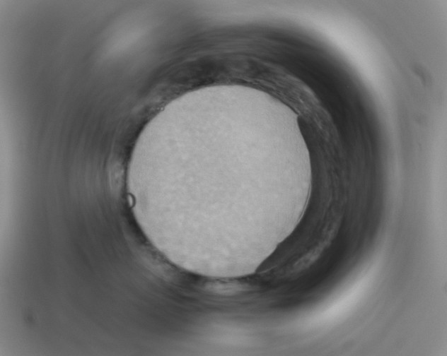 X0000114220767200911061506