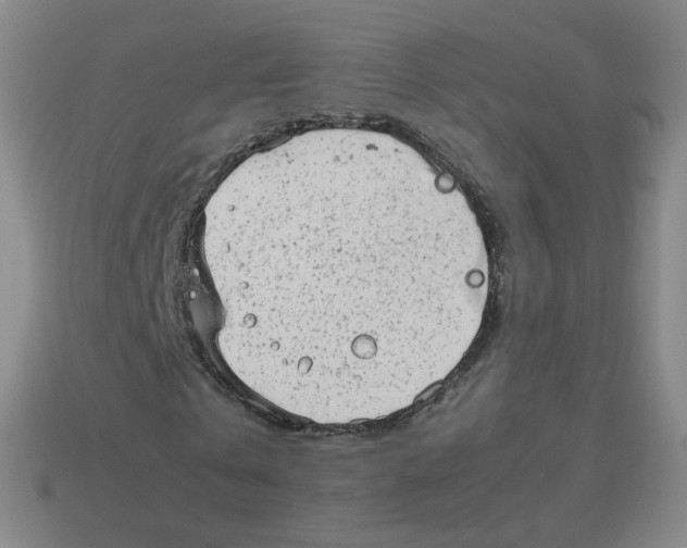 X0000114220769200911061506