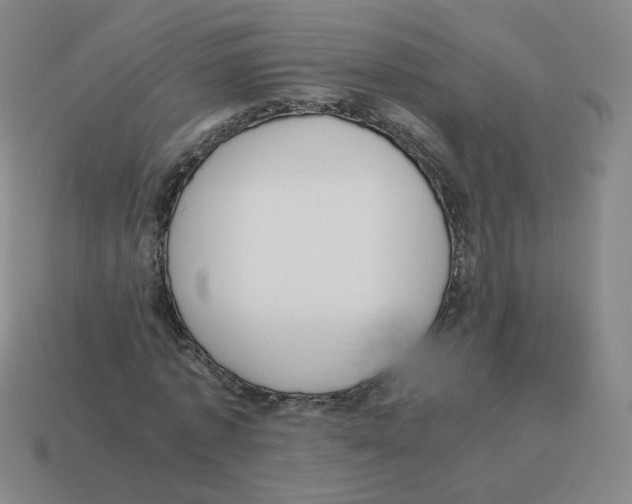 X0000114220773200911061506