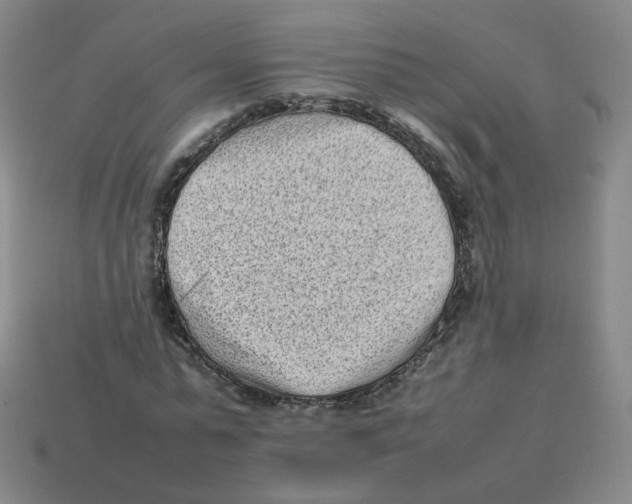 X0000114220775200911061506