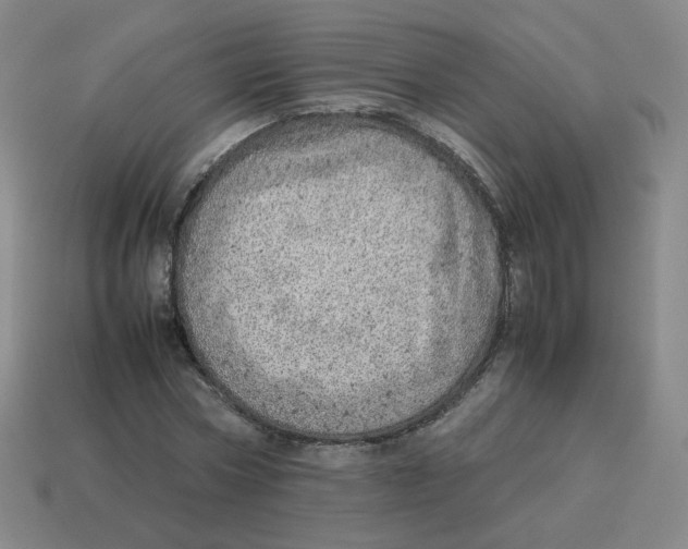 X0000114220778200911061506