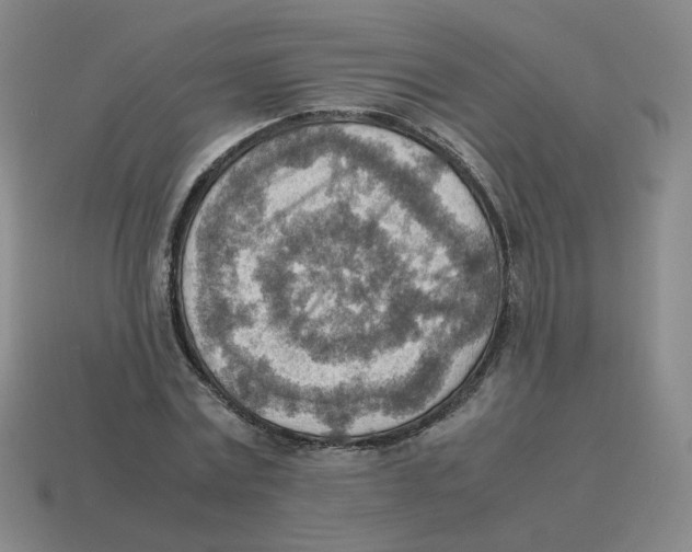 X0000114220779200911061506