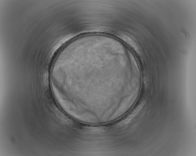 X0000114220781200911061506