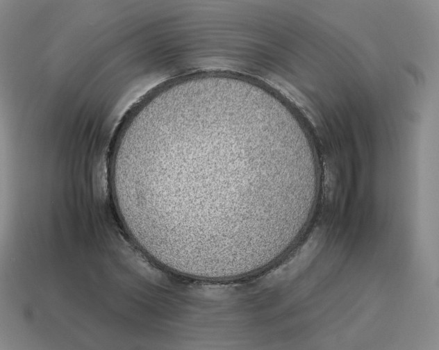 X0000114220782200911061506