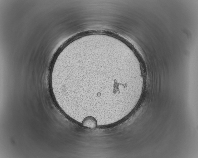 X0000114220783200911061506