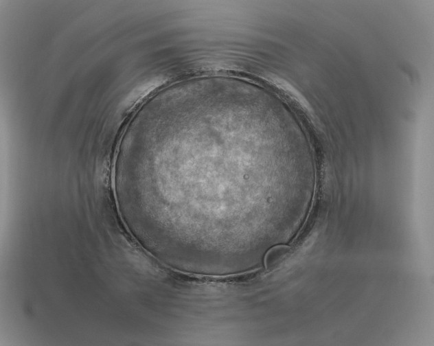 X0000114220785200911061506