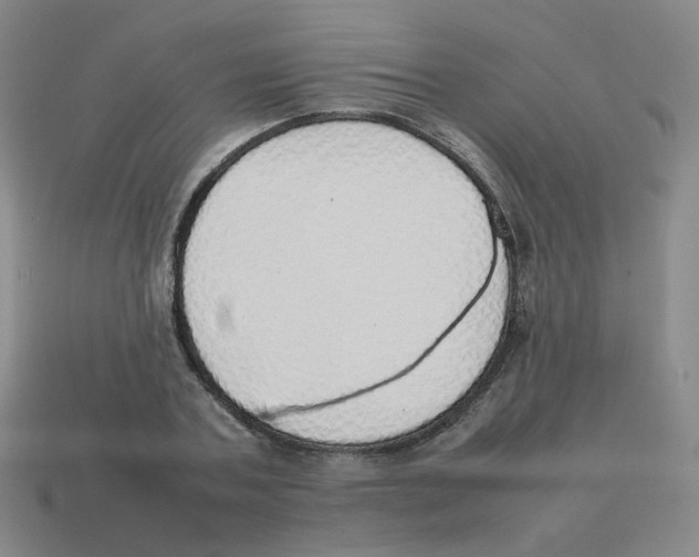 X0000114220787200911061506