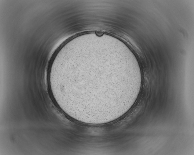 X0000114220788200911061506