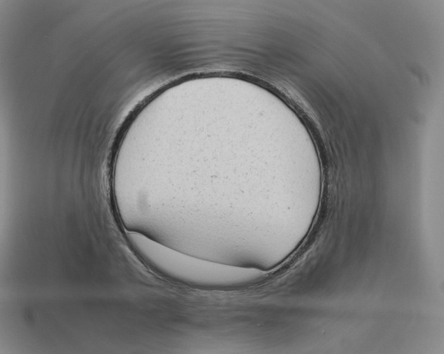 X0000114220789200911061506