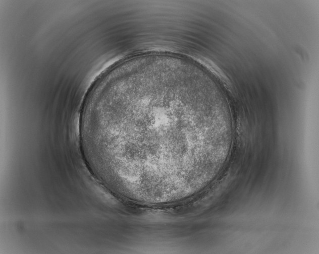 X0000114220790200911061506