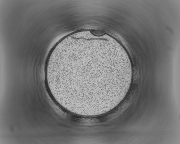 X0000114220795200911061506