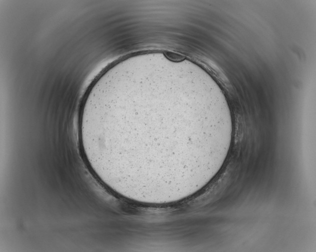 X0000114220796200911061506