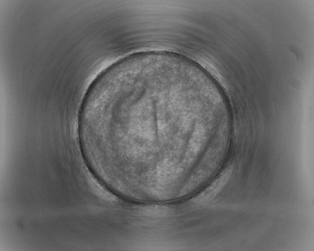 X0000114220797200911061506