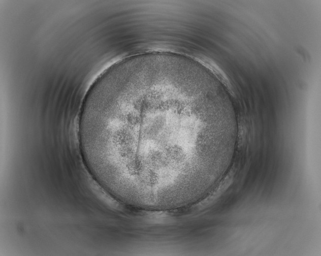 X0000114220798200911061506