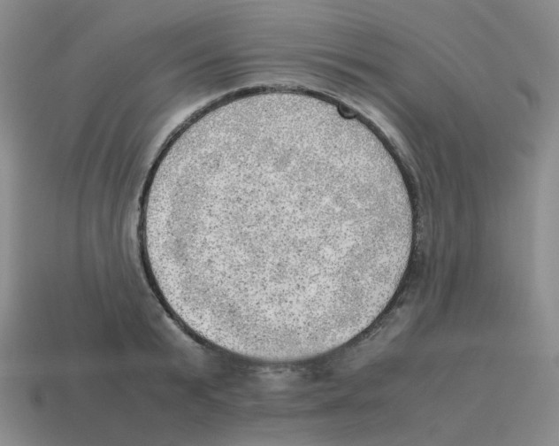 X0000114220799200911061506