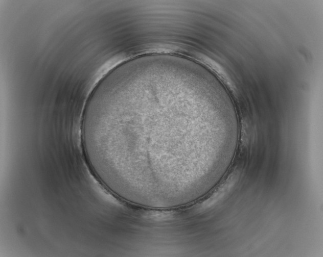 X0000114220802200911061505