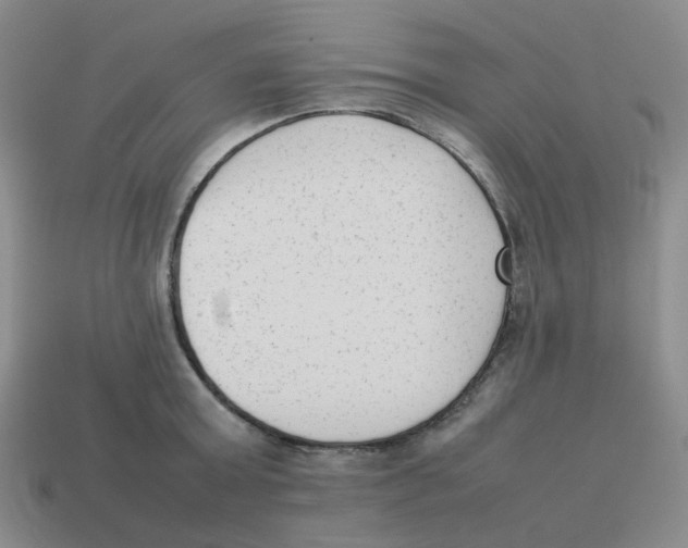 X0000114220803200911061505