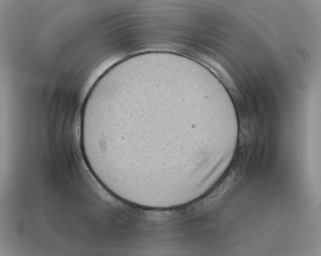 X0000114220804200911061505