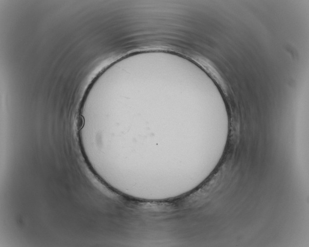 X0000114220805200911061505