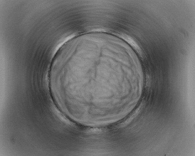 X0000114220806200911061505