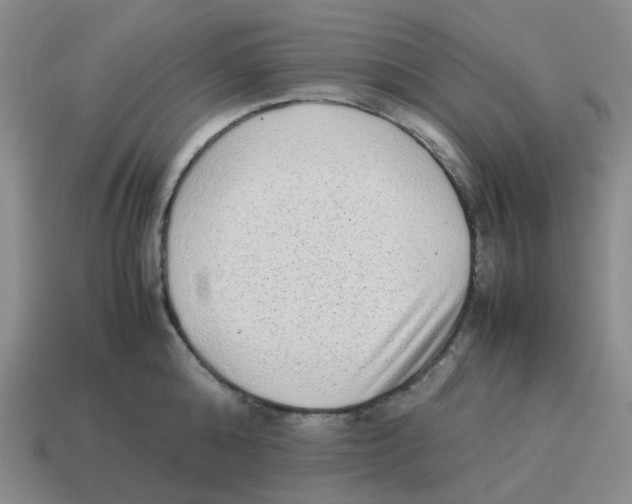 X0000114220808200911061505