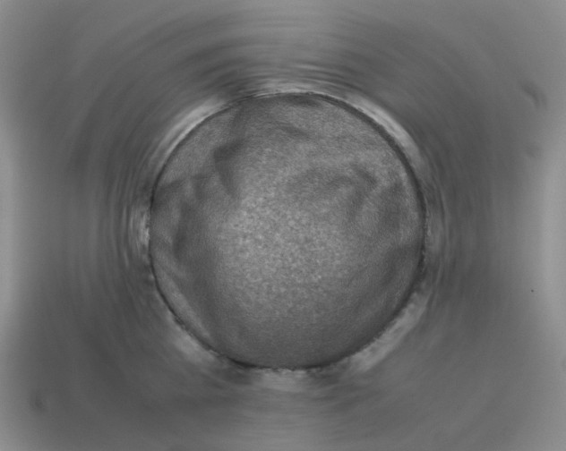 X0000114220809200911061505