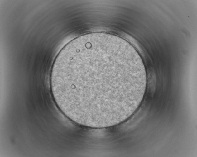 X0000114220810200911061505