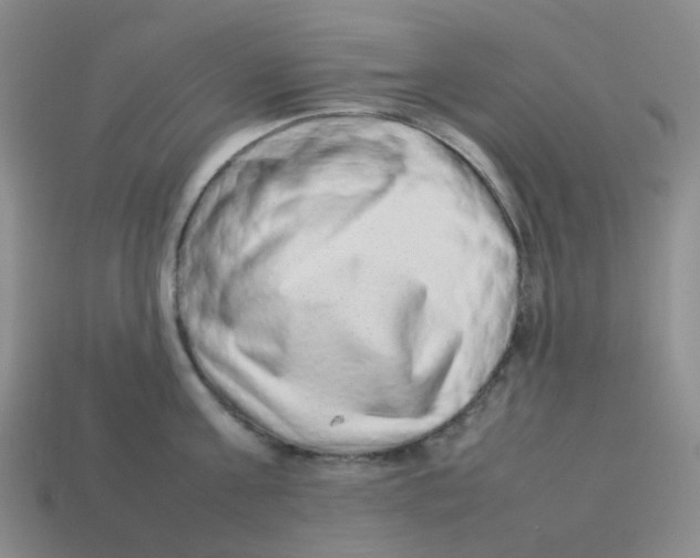 X0000114220811200911061505