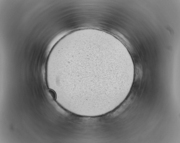 X0000114220812200911061505