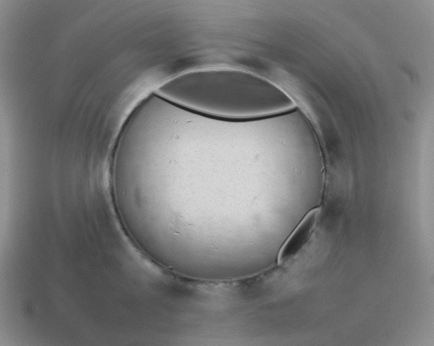 X0000114220813200911061505