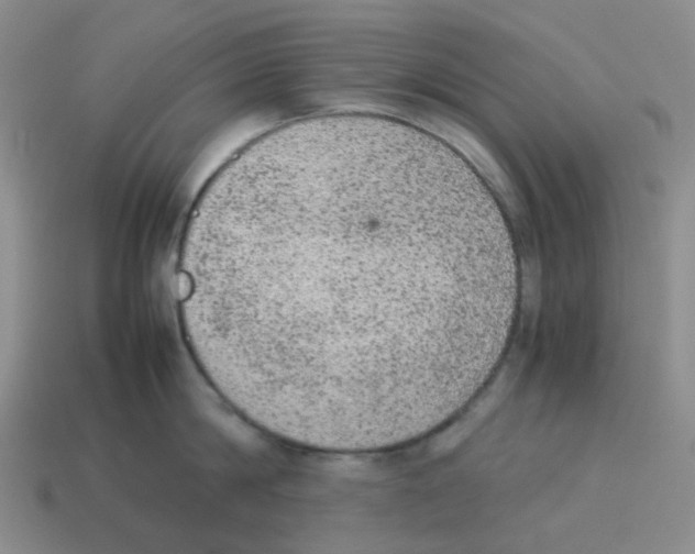 X0000114220814200911061505