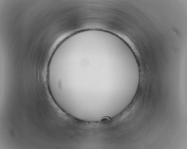 X0000114220815200911061505