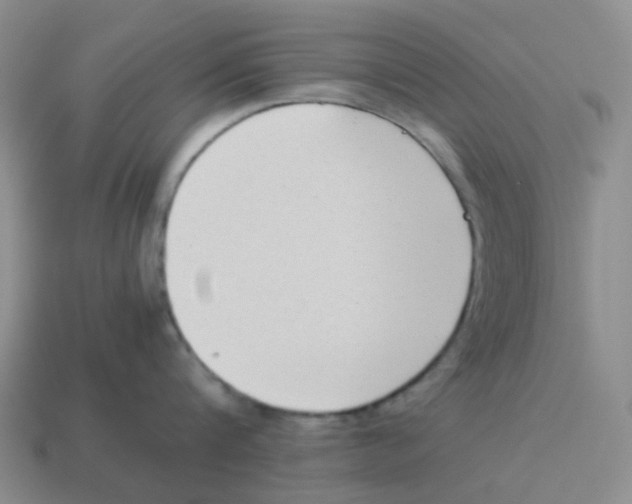 X0000114220816200911061505